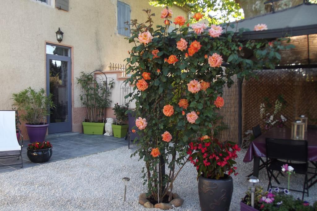 Mas De La Coucourde Bed and Breakfast Paluds de Noves Esterno foto